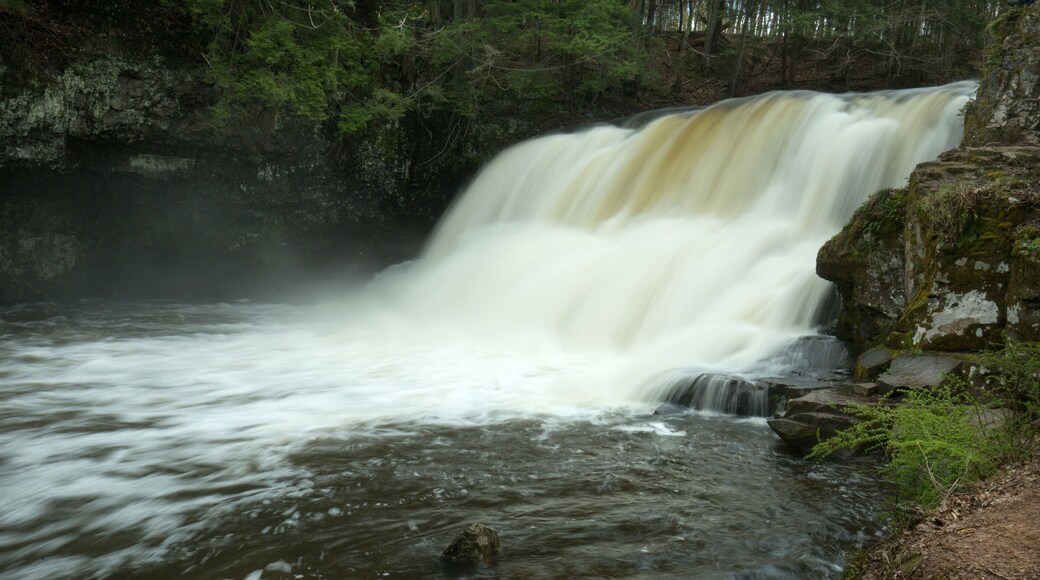 มิดเดิลฟีลด์