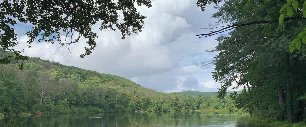 Perfect spot for relaxation 😎