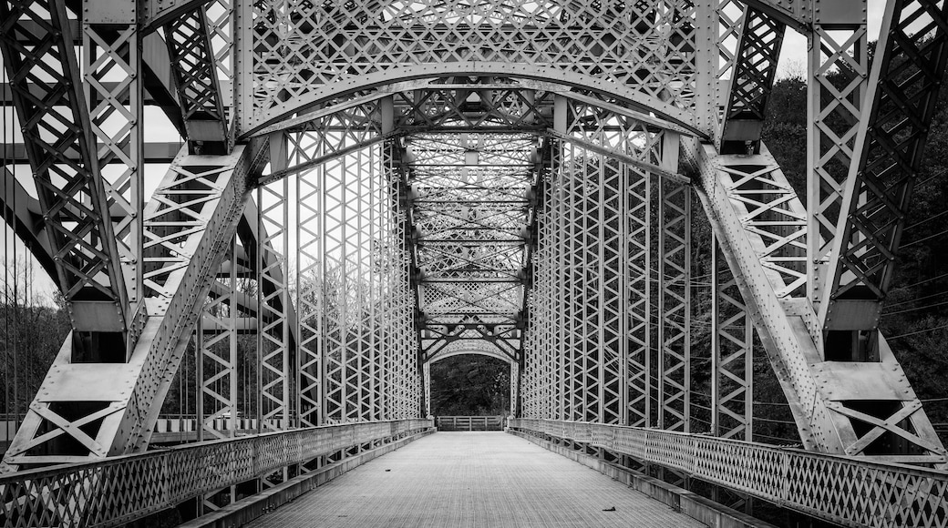 A black and white view of a steel bridge with a lattice structure and a pedestrian walkway.