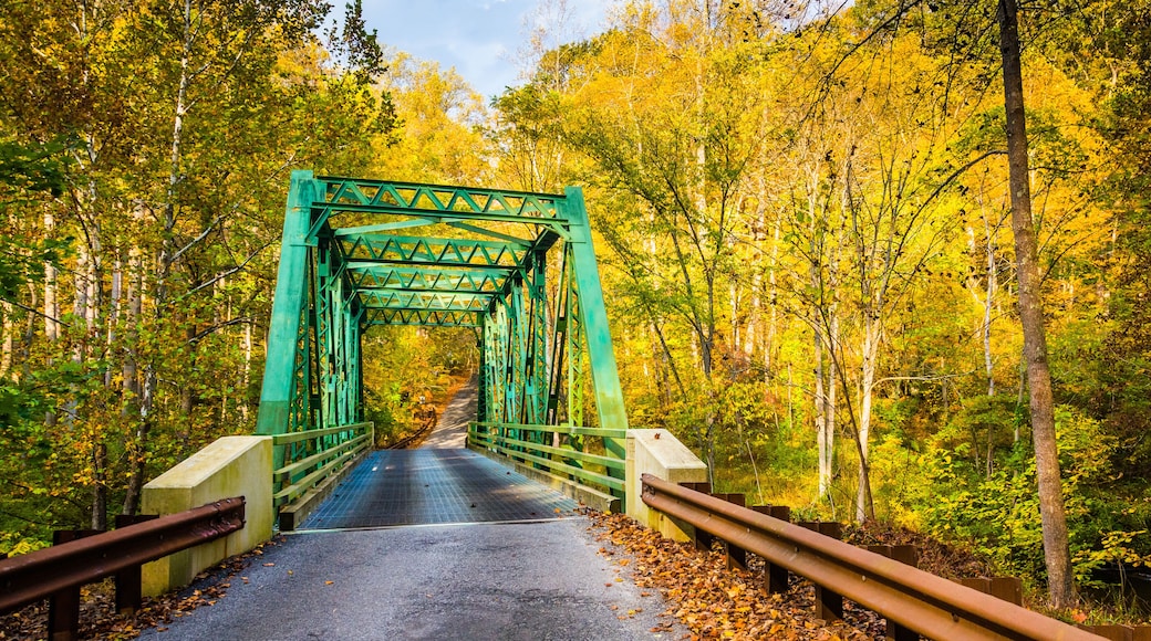 Autumn color and a bridge in Gunpowder Falls State Park, Marylan