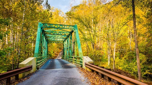 Autumn color and a bridge in Gunpowder Falls State Park, Marylan