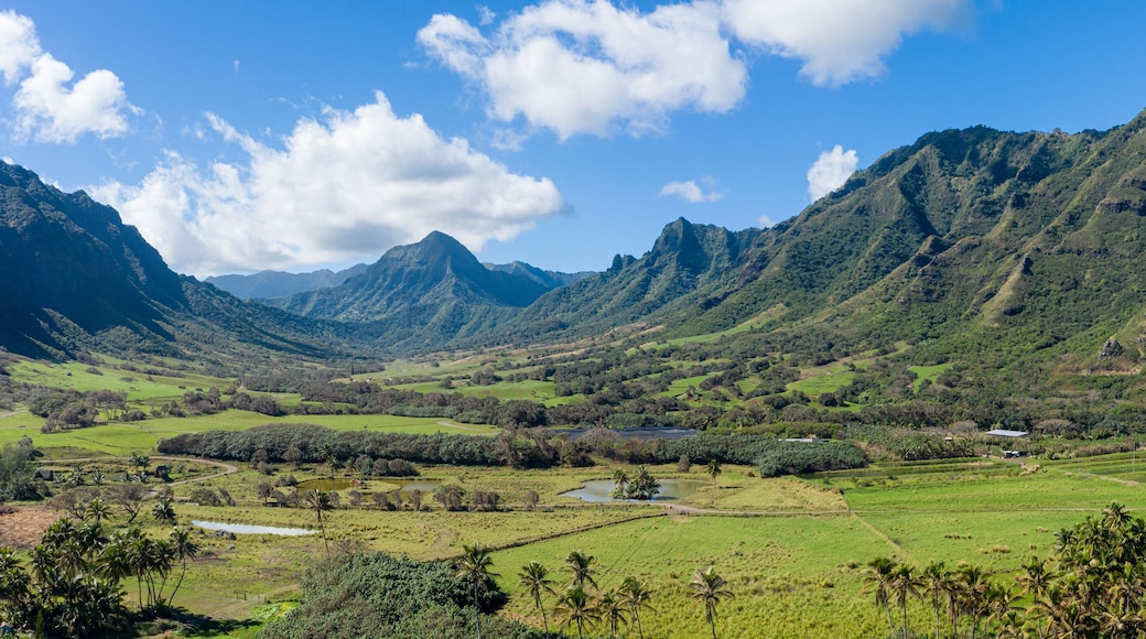 Wide panorama of the Kualoa or Ka'a'awa valley near Kaneohe on Oahu used in jurassic films