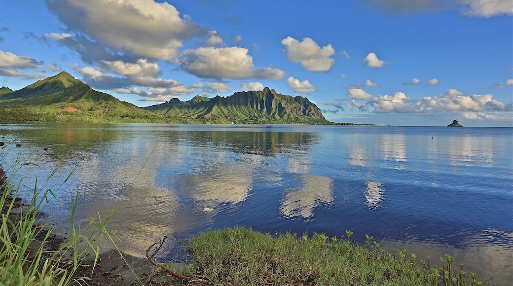A beautiful morning on Kaneohe bay. #Reflections #Mountains #Clouds #Green #Beautiful #Morning #Hawaii #Oahu #Kaneohe