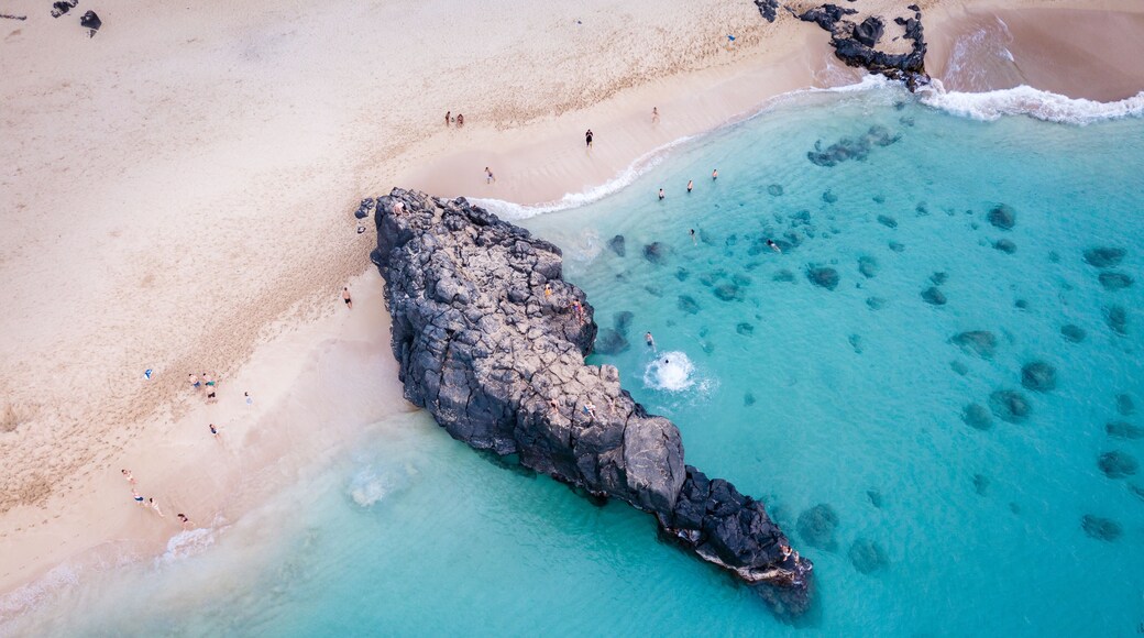 Waimea Beach Rock and Cliff Divers