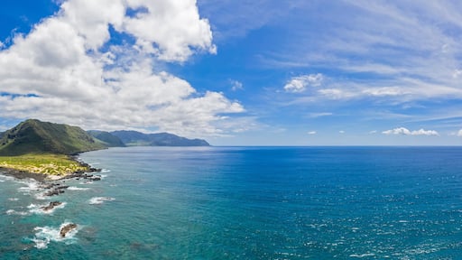 ์์ด์๋ฃจ์