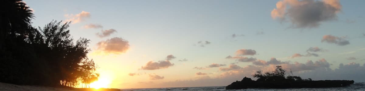Ein Strand mit Felsen und Bäumen im Abendlicht.