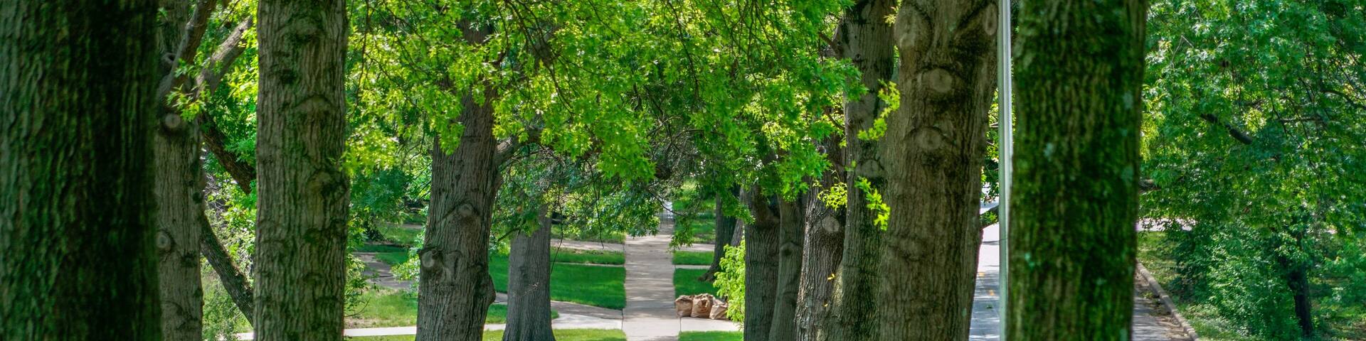 neighborhood sidewalk prairie village kansas