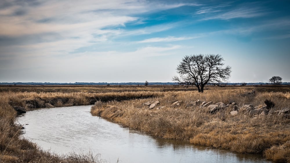 A river winding through a dry grassland with a solitary tree and distant hills.