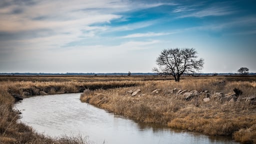 تونجانوكسي
