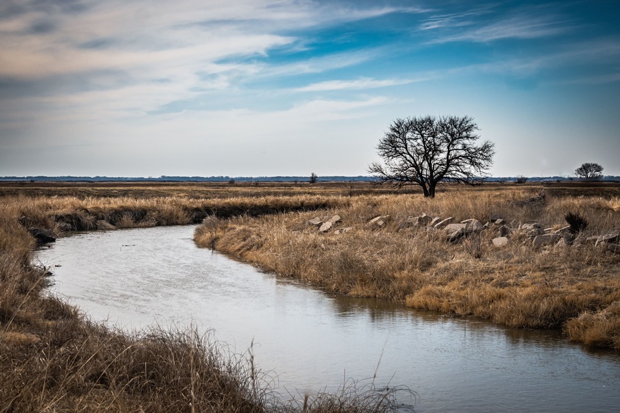 A river winding through a dry grassland with a solitary tree and distant hills.