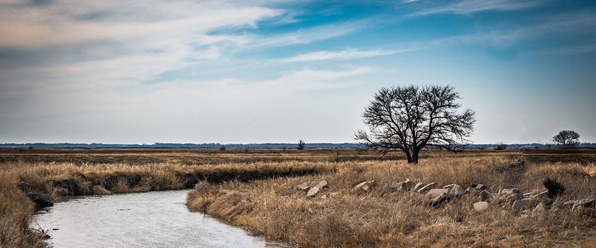 A river winding through a dry grassland with a solitary tree and distant hills.