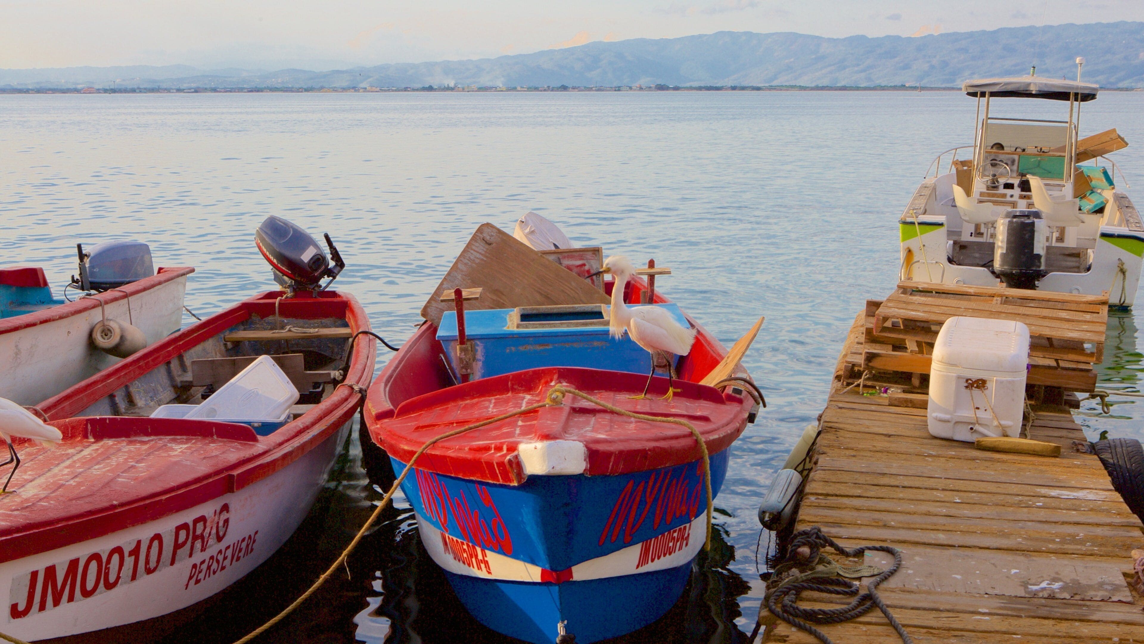 Port Royal which includes a marina, bird life and a bay or harbor