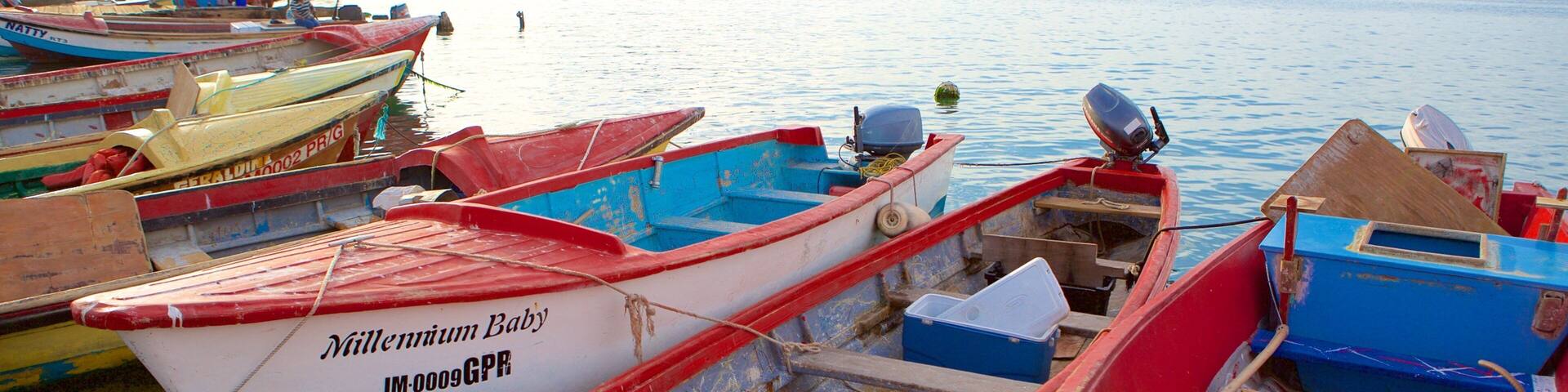 Port Royal featuring general coastal views and a bay or harbor