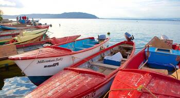 Port Royal featuring general coastal views and a bay or harbor