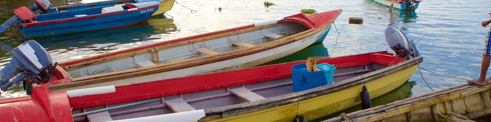 Port Royal featuring kayaking or canoeing and a bay or harbor