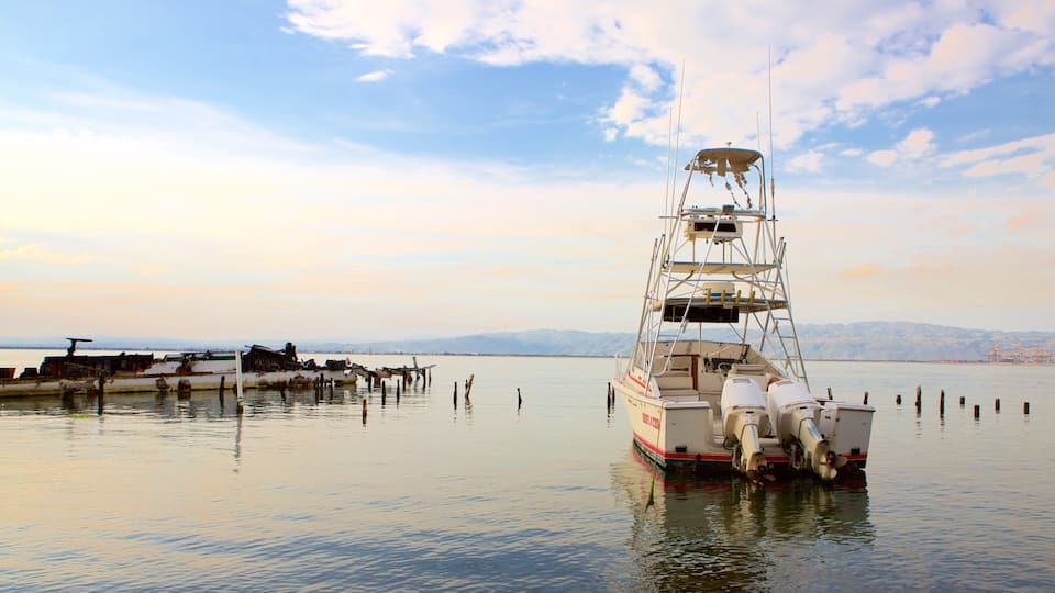 Port Royal showing boating, general coastal views and a bay or harbor
