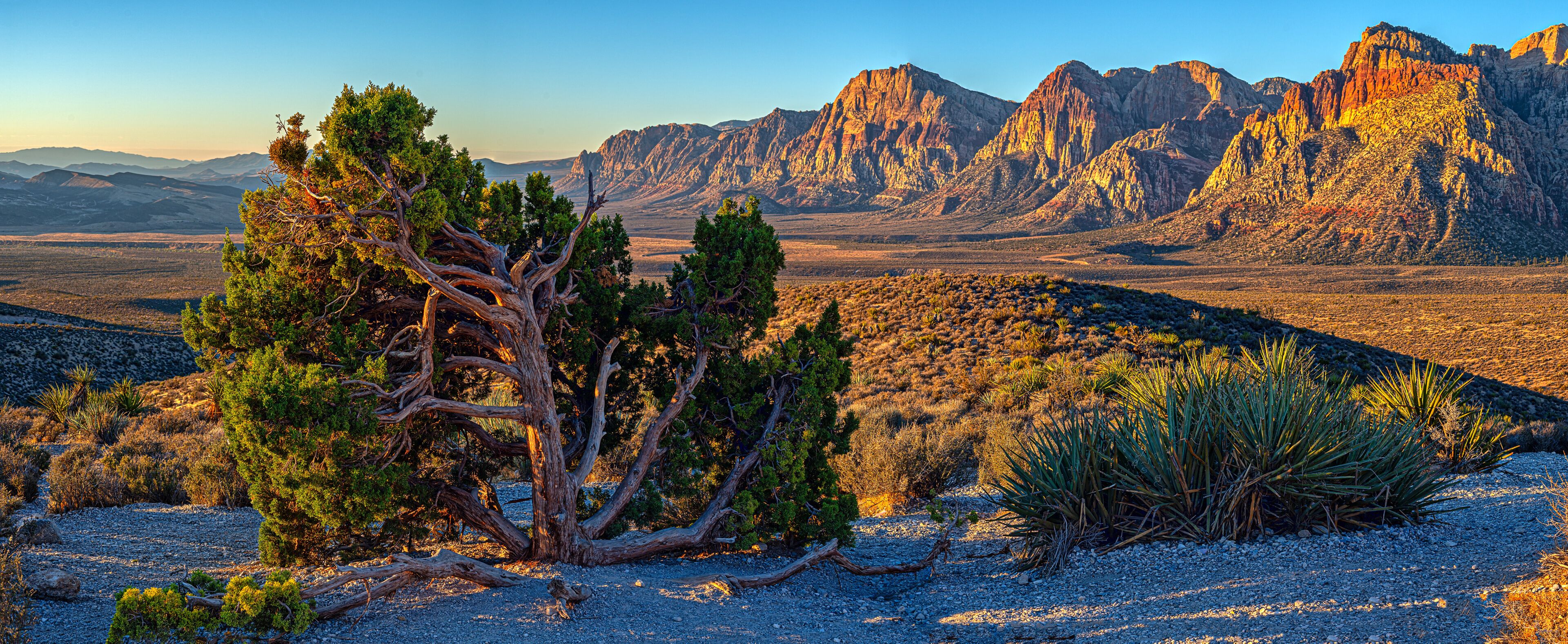 Red Rock Canyon, Nevada