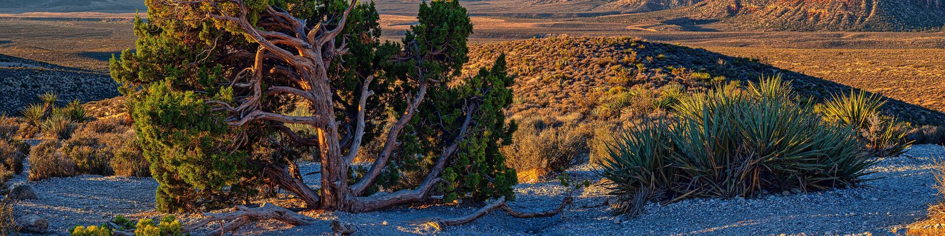 Red Rock Canyon, Nevada
