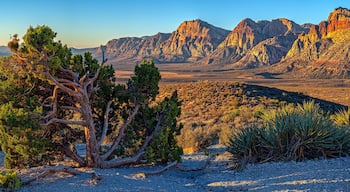 Spring Valley