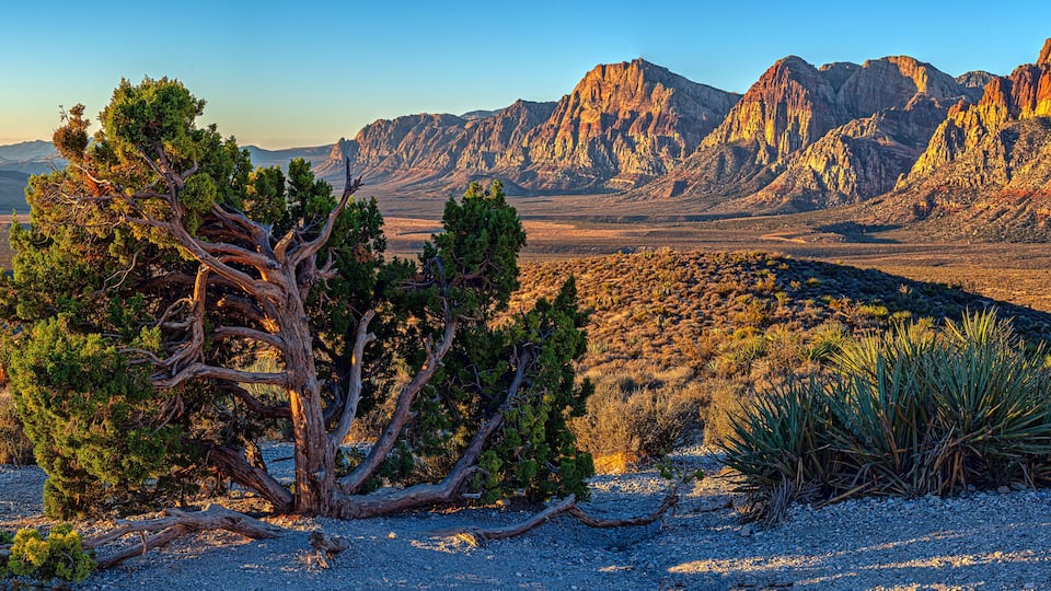 Red Rock Canyon, Nevada