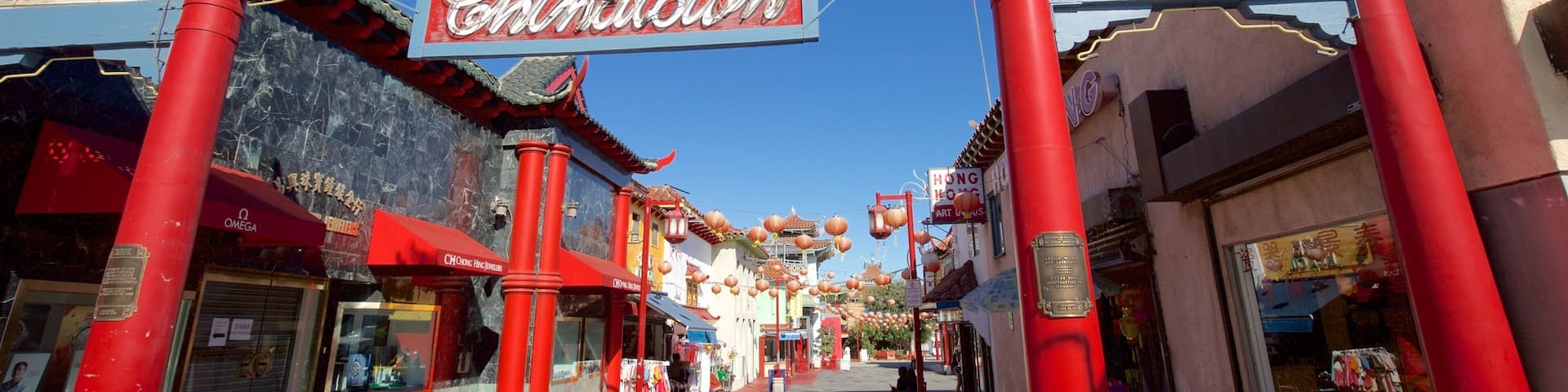 Chinatown som omfatter skiltning