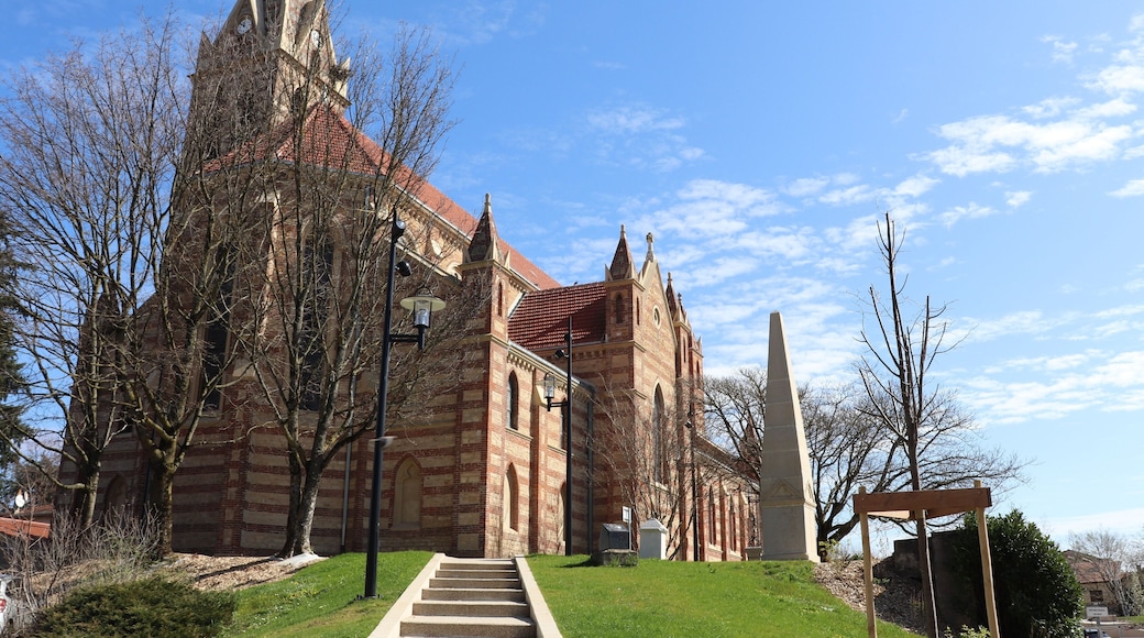 Eglise catholique Saint Barthélémy à Genas construite en 1876 - ville de Genas - Département du Rhône - France - Vue extérieure
