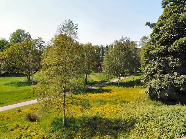 Fletcher's Moss Viewed from St James' churchyard.