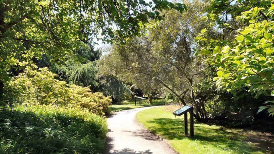A paved path through a park with lush greenery and trees.