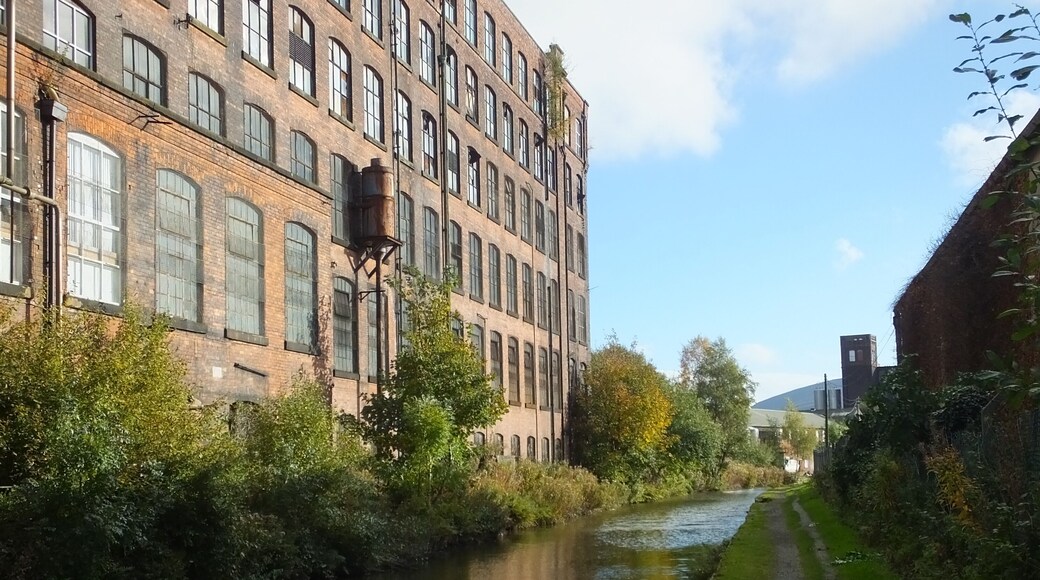 List of mills in Tameside 1891-Whitelands Twist Co, Ltd, 128,934 spindles