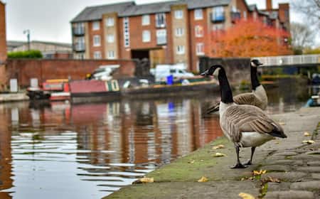 Cheap Store Canada Goose Amsterdam Que Hacer Canada Goose