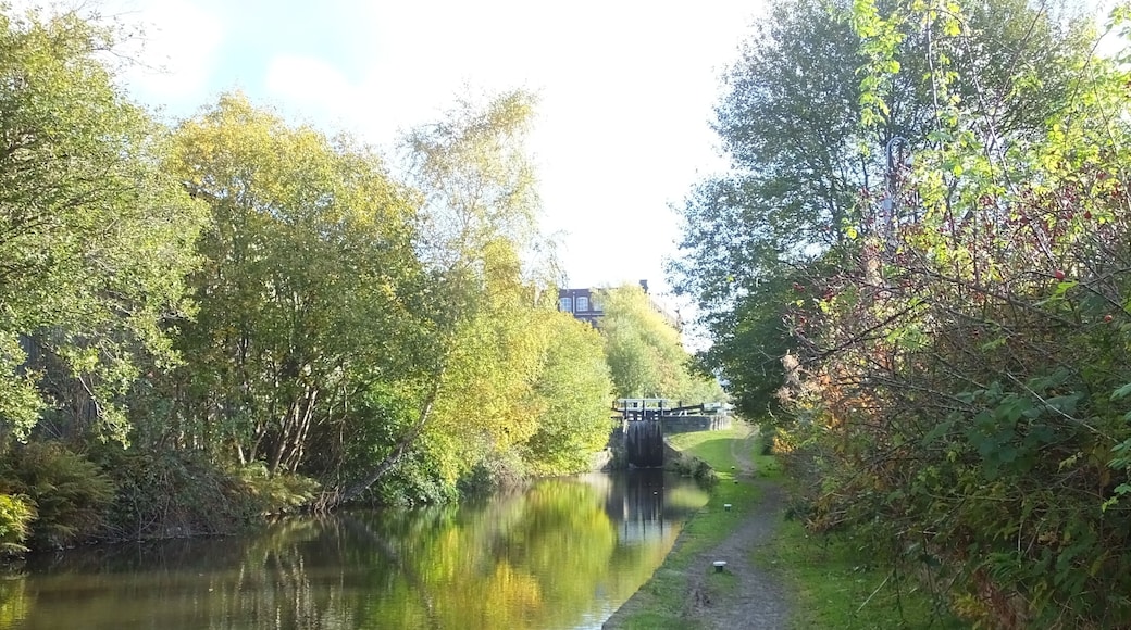 List of mills in Tameside 1891-Whitelands Twist Co, Ltd, 128,934 spindles