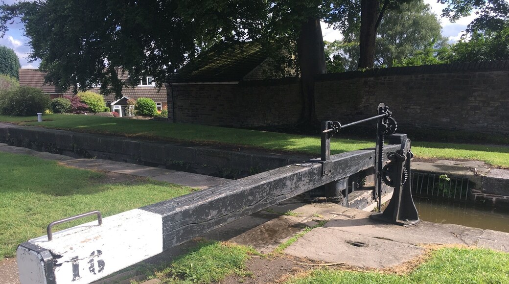 A flight of 16 locks from Marple Aqueduct to the top of Marple where the canal branches.
I was delighted to see this one today as I'd run up from the bottom and this was the first time I've made them all in one go!