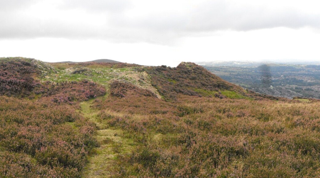 The causeway to Buckton Castle (left) and the view to the west (right)