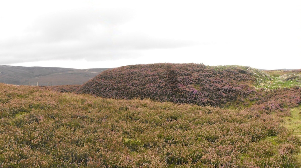 The causeway leading to the entrance of Buckton Castle