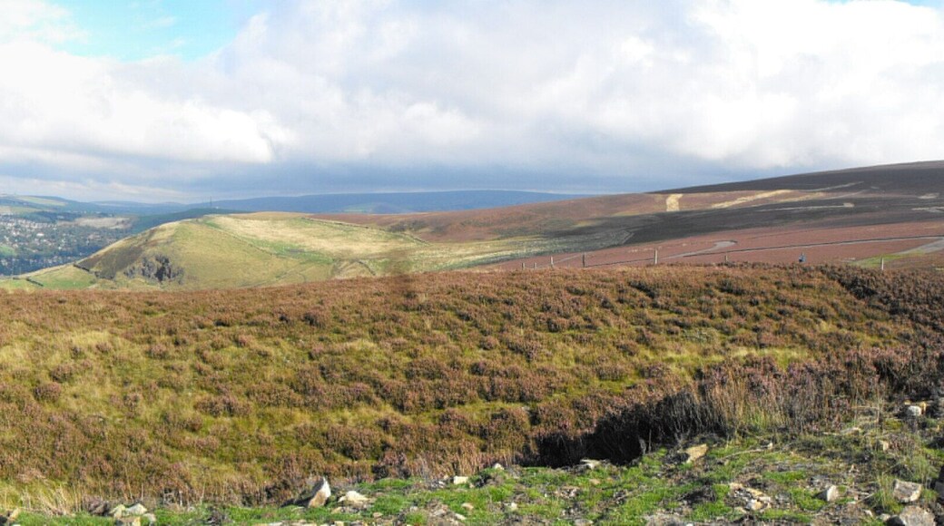 The view from Buckton Castle
