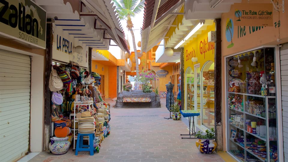 Zona Dorada featuring markets, signage and shopping