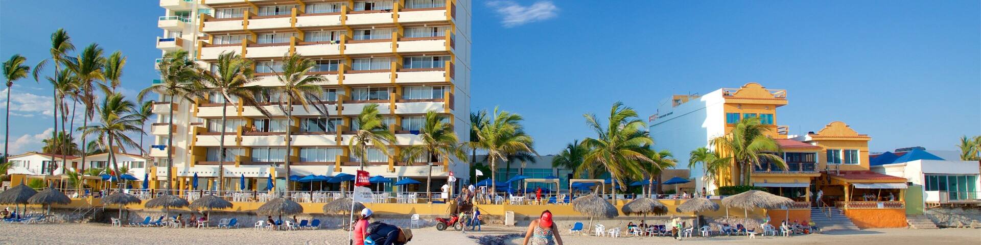 Zona Dorada showing a sandy beach and general coastal views
