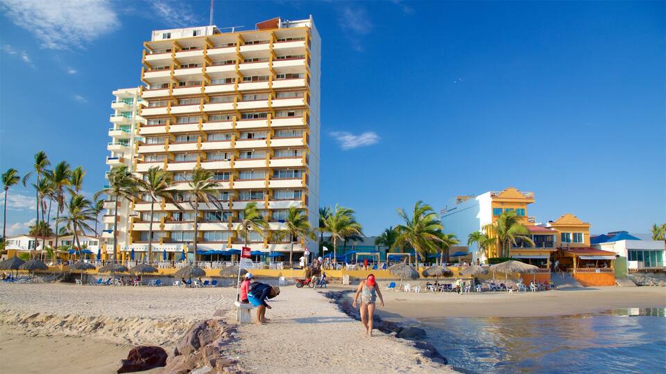 Zona Dorada showing general coastal views and a beach