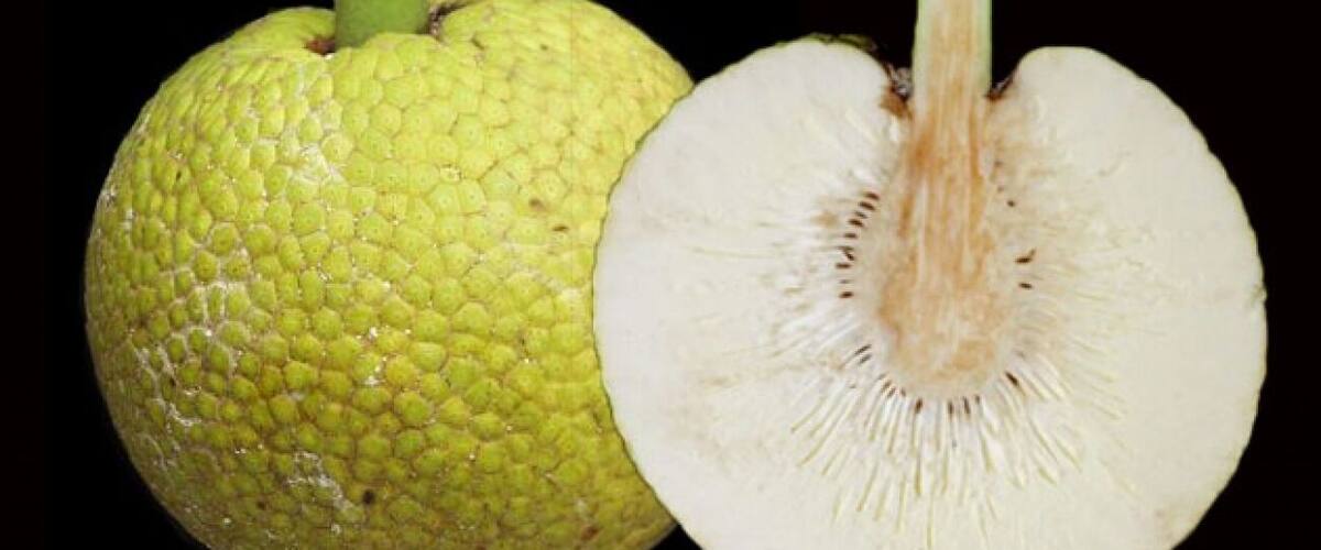A whole and a half-cut guava with a green stem.