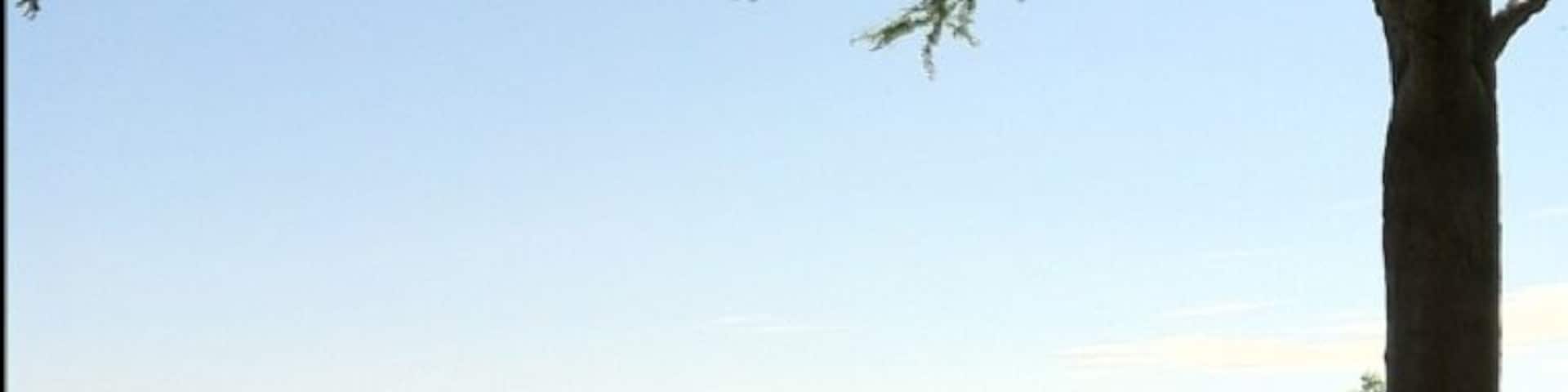 Beautiful and serene view of Lake Minnetonka along Lake St in Wayzata. In front of you ice fishing huts in the winter and pleasure boaters in the summer. Behind you is The Bookcase, a great little independent book shop that shares a space with Caribou Coffee.