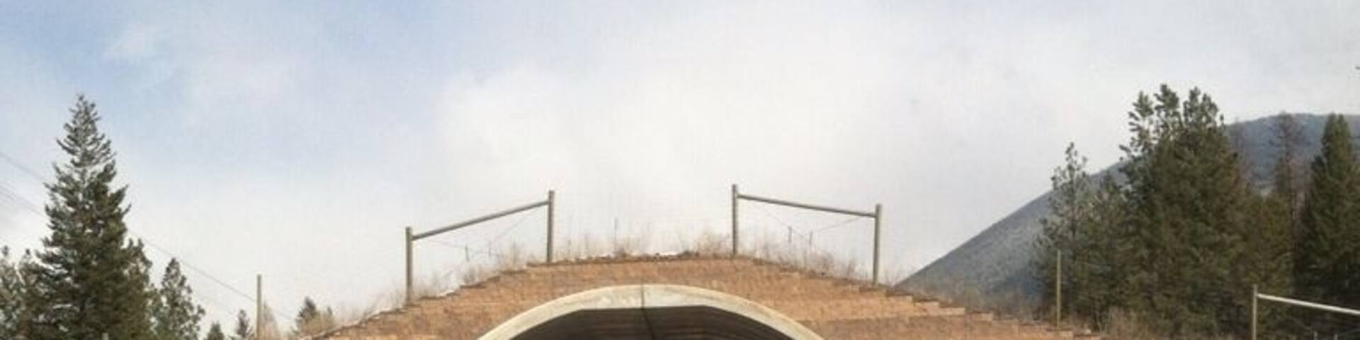 Animal bridge so they don't cross the highway.