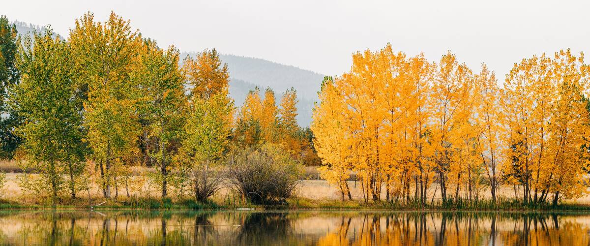 Fall scene at Frenchtown Lake with tree reflections in water