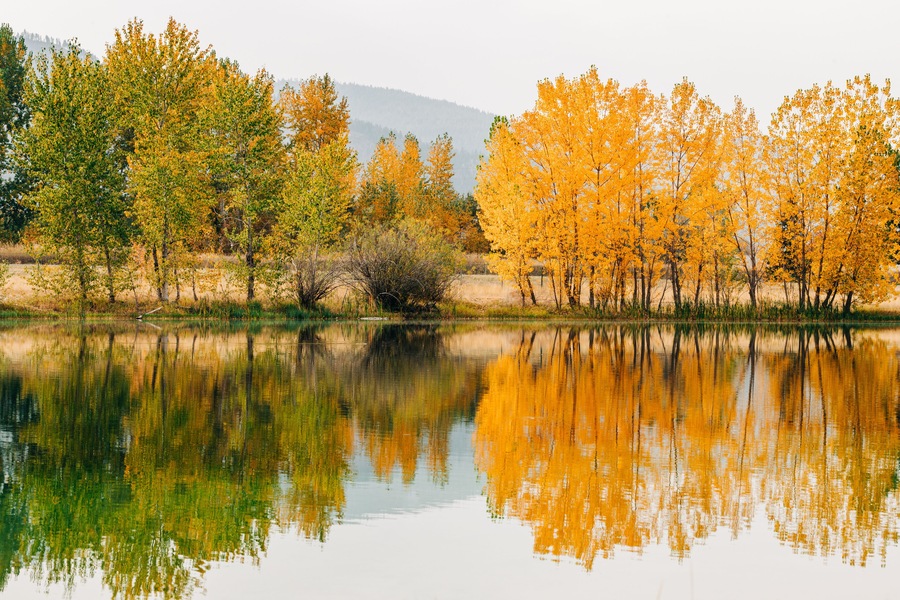Fall scene at Frenchtown Lake with tree reflections in water