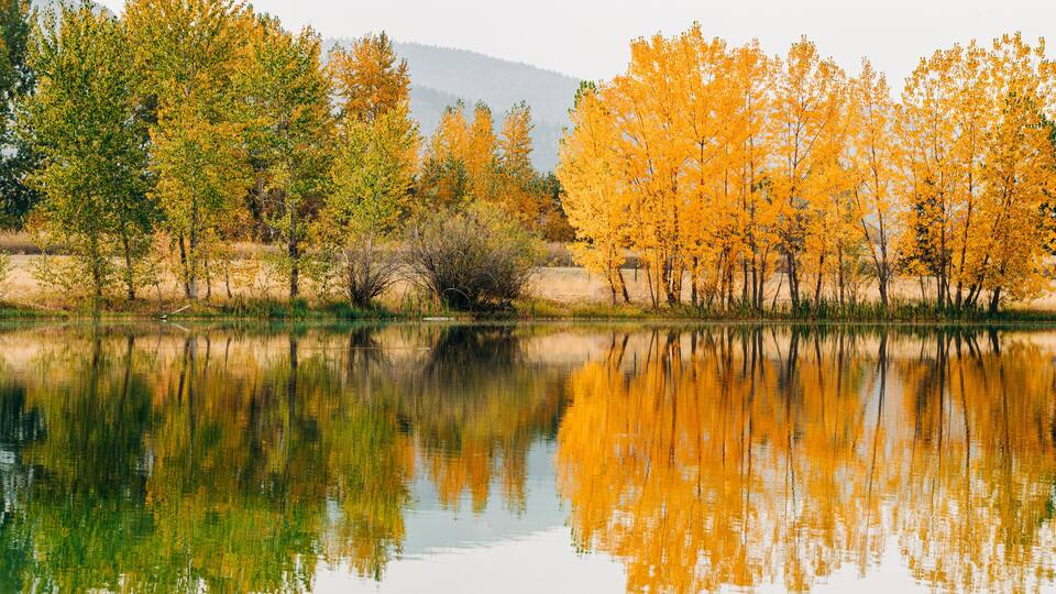 A calm river reflecting trees with autumn foliage.