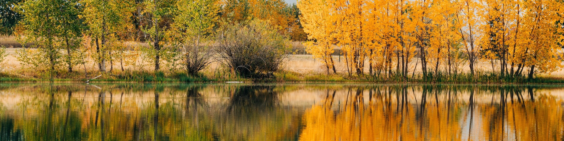Fall scene at Frenchtown Lake with tree reflections in water
