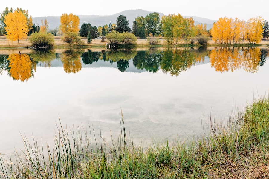 A calm lake with autumn-colored trees reflecting on the water.