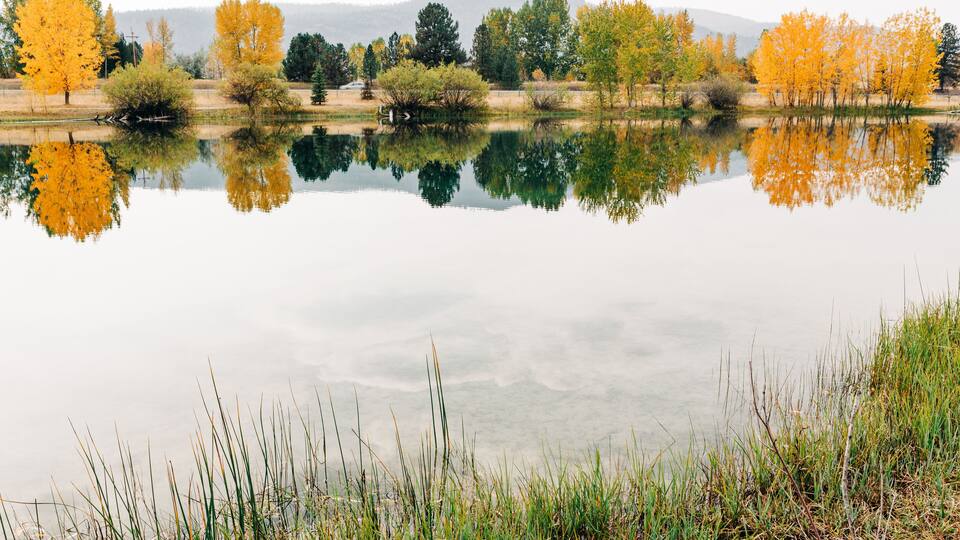 A calm lake with autumn-colored trees reflecting on the water.