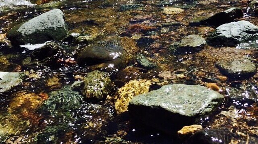Spring time at the Blackfoot river