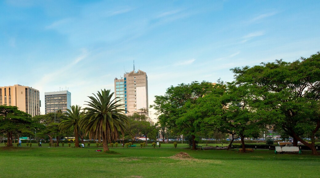 Nairobi downtown panorama