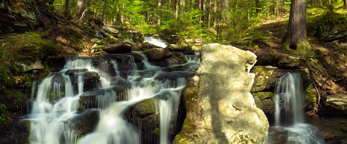 A waterfall in a forest with rocks and greenery.